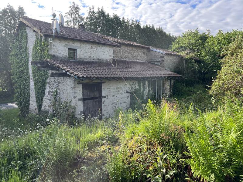 Vente Maison ST JOUVENT - 4 pièces -86 m² - (87510)