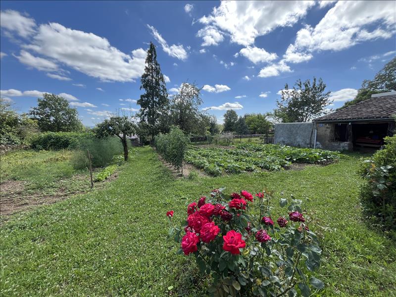 Vente Maison MONTREDON LABESSONNIE - 9 pièces -213 m² - (81360)