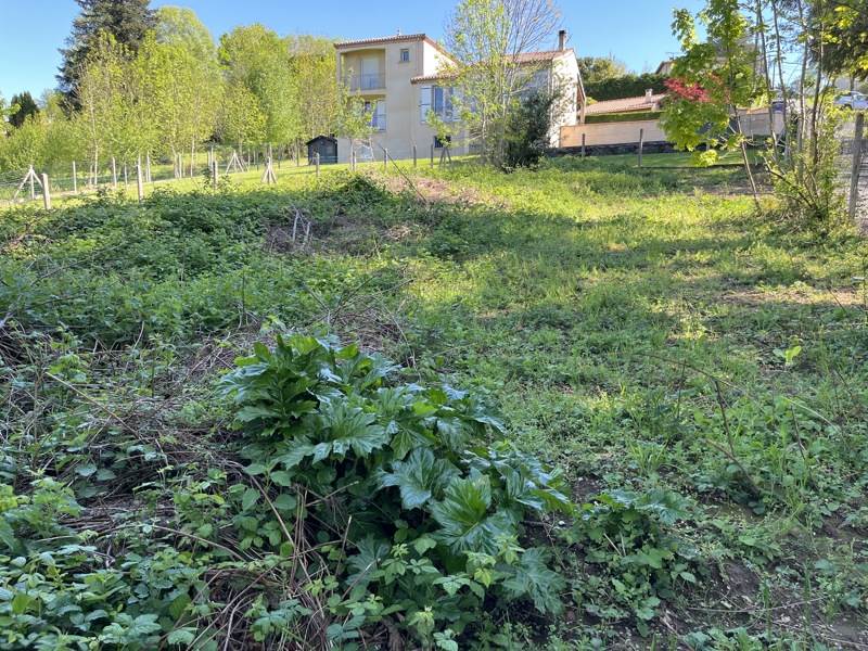 Vente Terrain LACROUZETTE - -457 m² - (81210)