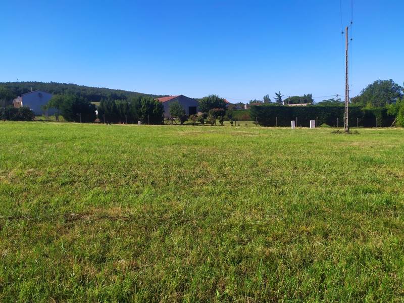 Vente Terrain ESCOUSSENS - -835 m² - (81290)