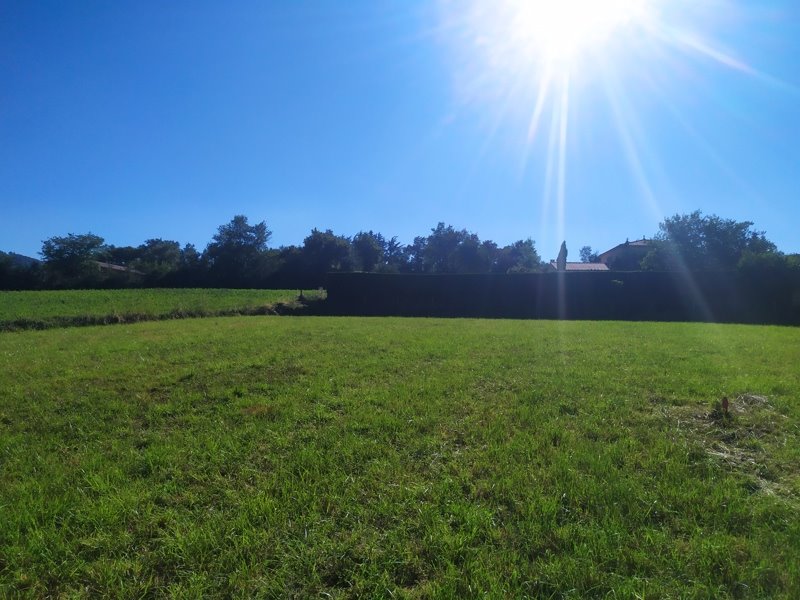 Vente Terrain ESCOUSSENS - -845 m² - (81290)
