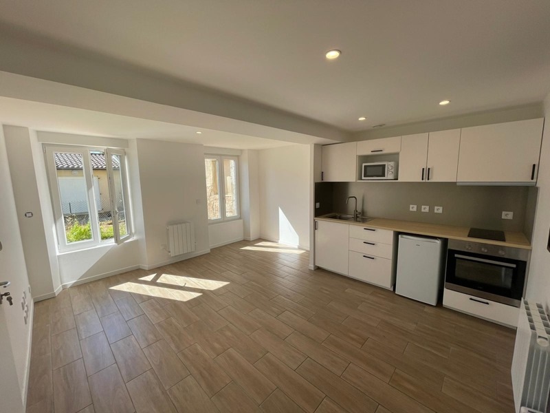 Vente Immeuble CASTRES - -  328 m² - (81100)