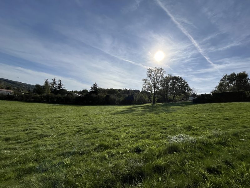Vente Terrain CASTRES - -4881 m² - (81100)