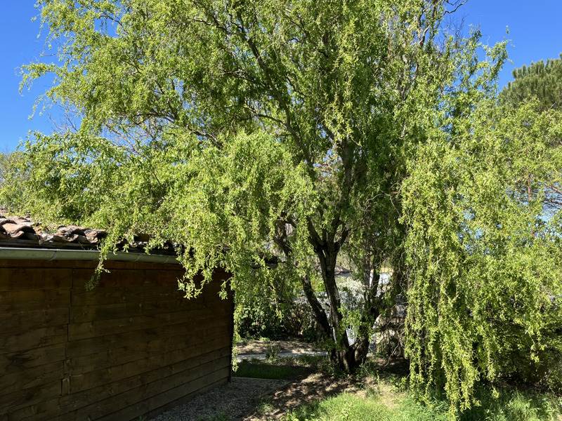 Vente Maison CUQ - 3 pièces -120 m² - (81570)