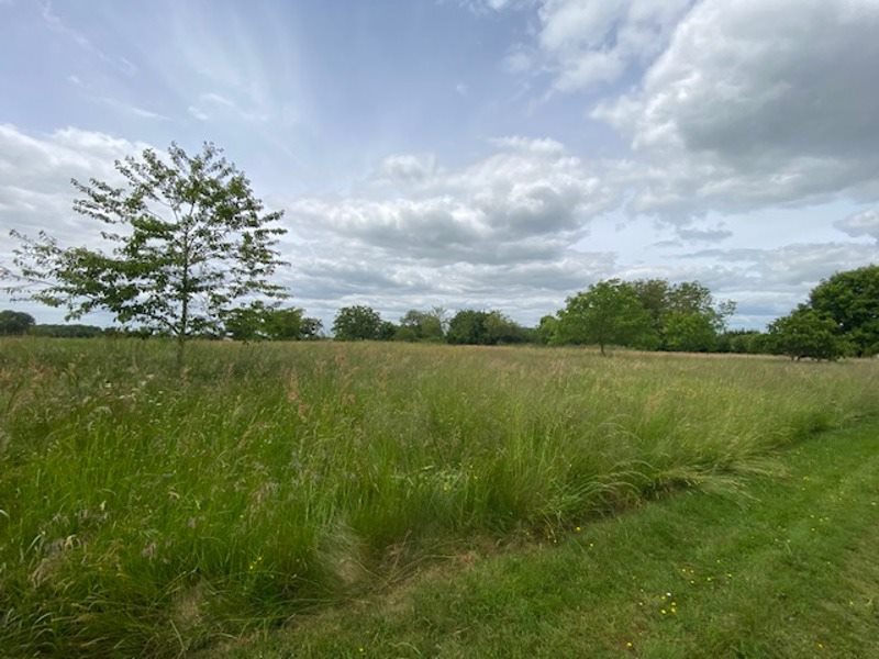 Vente Maison CHASSENON - 5 pièces -110 m² - (16150)