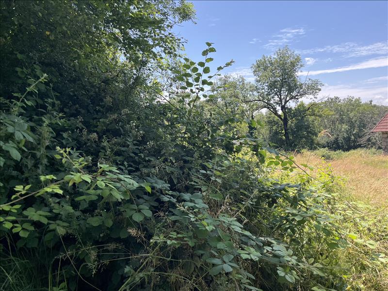 Vente Maison SARROUX ST JULIEN - 1 pièce -100 m² - (19110)