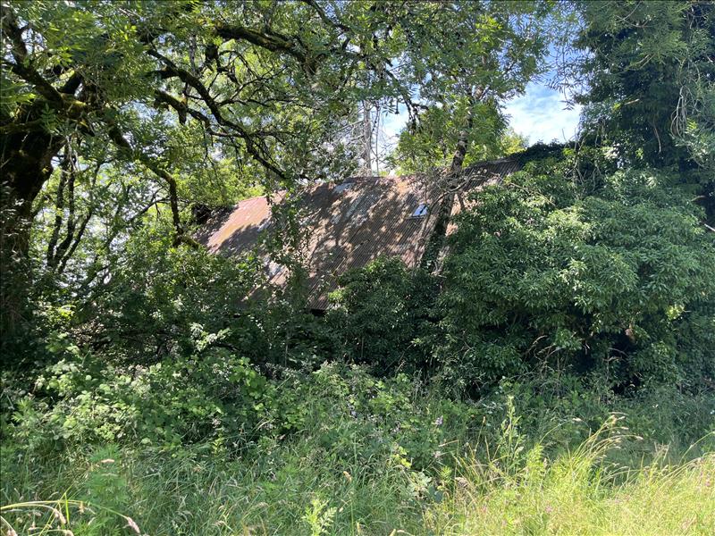 Vente Maison SARROUX ST JULIEN - 1 pièce -100 m² - (19110)