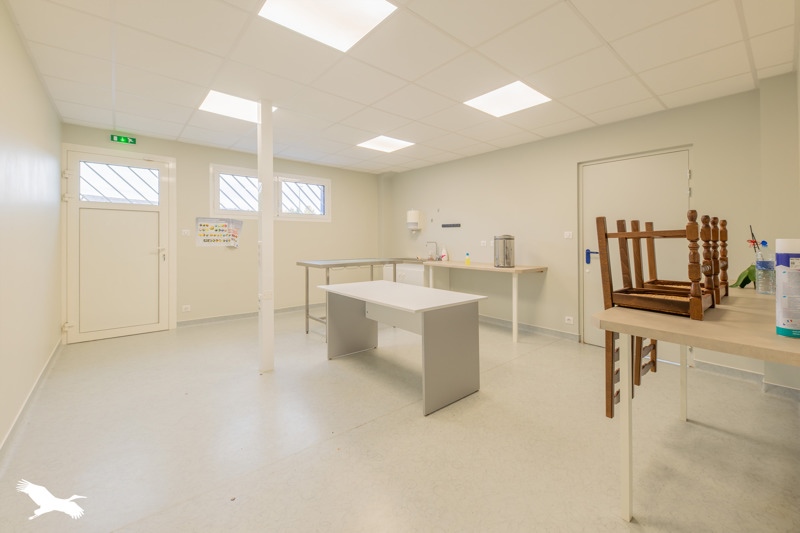 Vente Immeuble ST PRIEST DE GIMEL - -  250 m² - (19800)