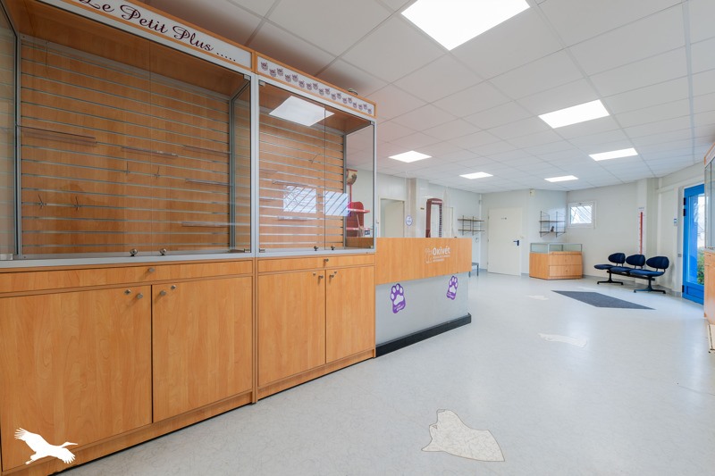 Vente Immeuble ST PRIEST DE GIMEL - -  250 m² - (19800)