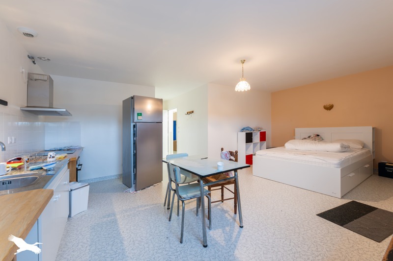 Vente Immeuble ST PRIEST DE GIMEL - -  250 m² - (19800)