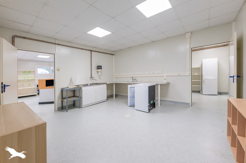 Vente Immeuble ST PRIEST DE GIMEL - -  250 m² - (19800)