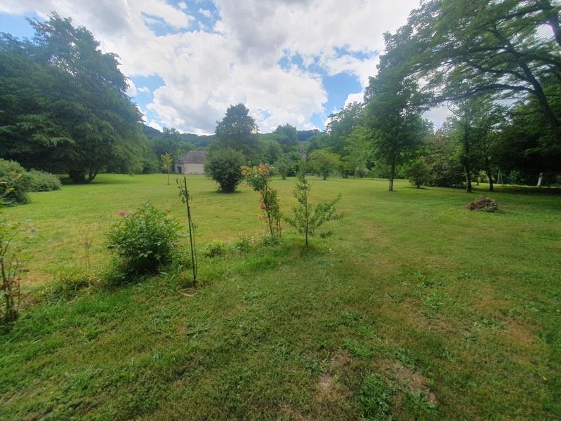 Vente Château BASSIGNAC - 12 pièces -346 m² - (15240)
