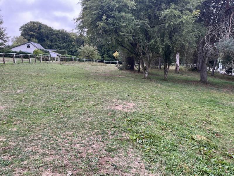 Vente Terrain USSEL - -2059 m² - (19200)
