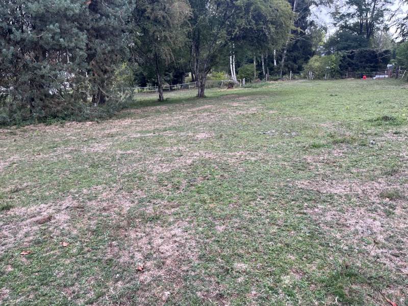 Vente Terrain USSEL - -2059 m² - (19200)