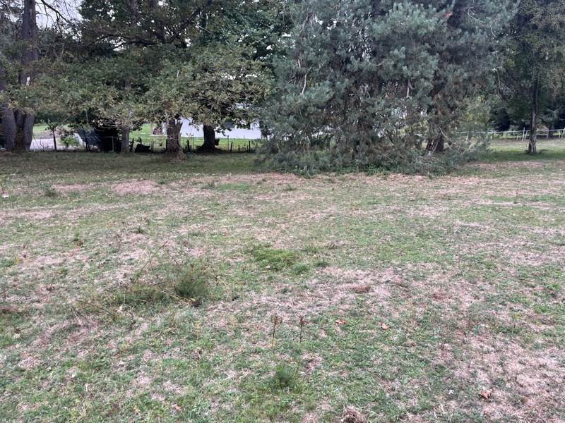 Vente Terrain USSEL - -2059 m² - (19200)