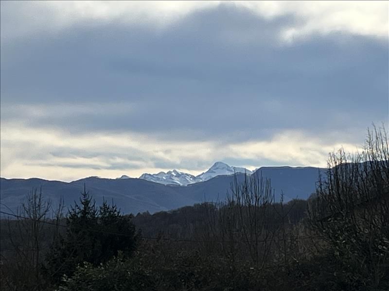 Vente Terrain BEAUCHALOT - -2832 m² - (31360)