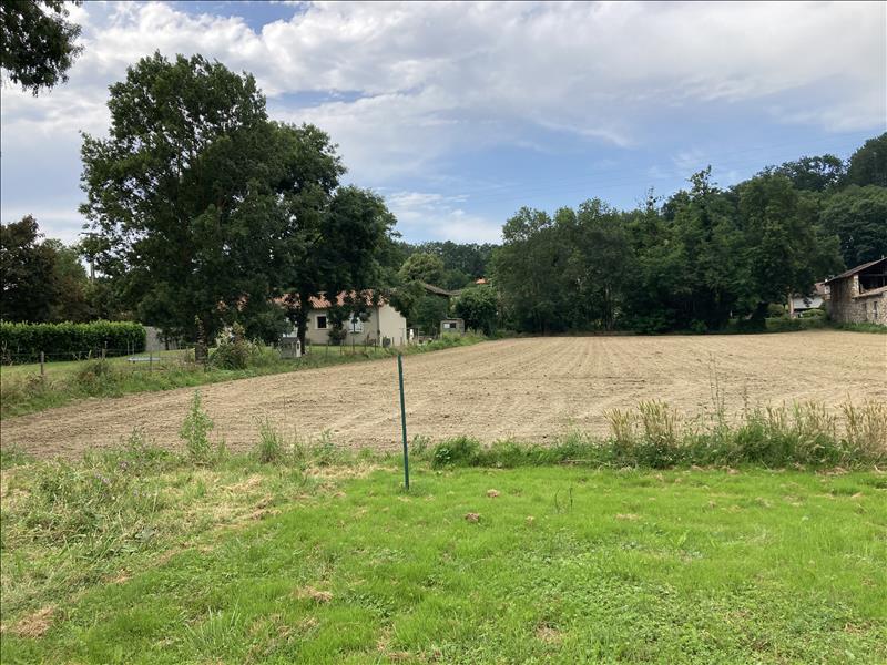 Vente Terrain BEAUCHALOT - -2337 m² - (31360)