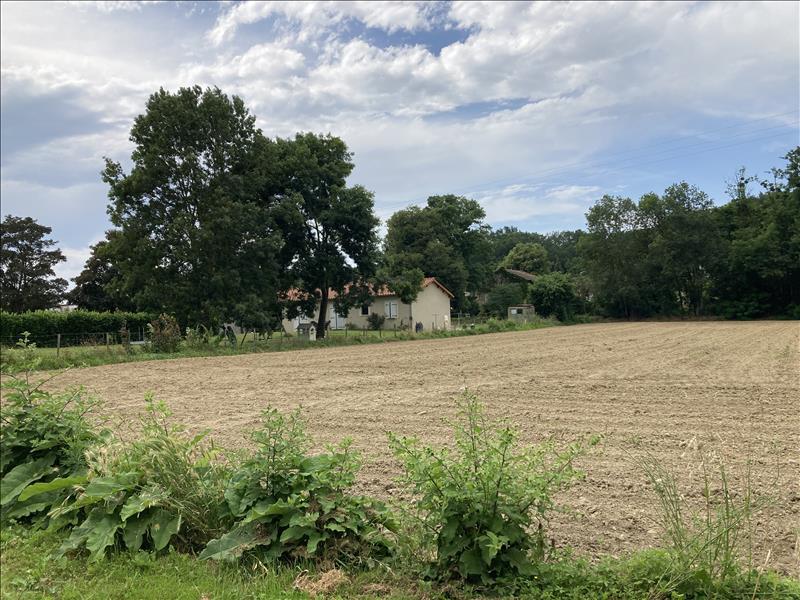 Vente Terrain BEAUCHALOT - -2337 m² - (31360)