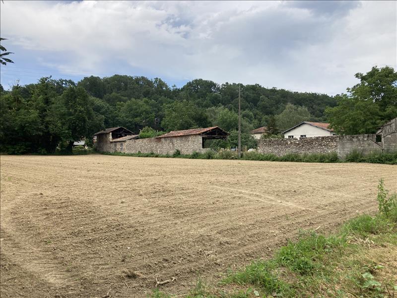 Vente Terrain BEAUCHALOT - -2337 m² - (31360)