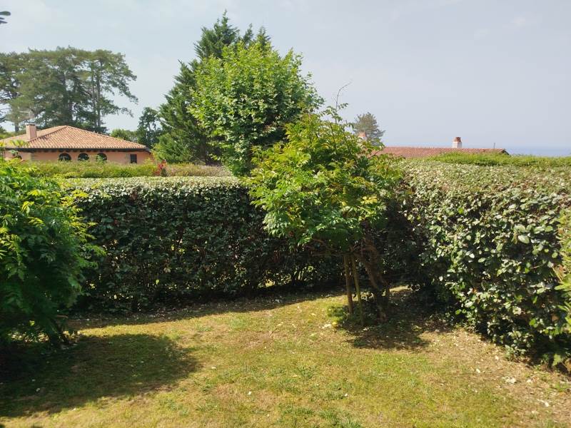 Vente Appartement CIBOURE - 1 pièce -23 m² - (64500)