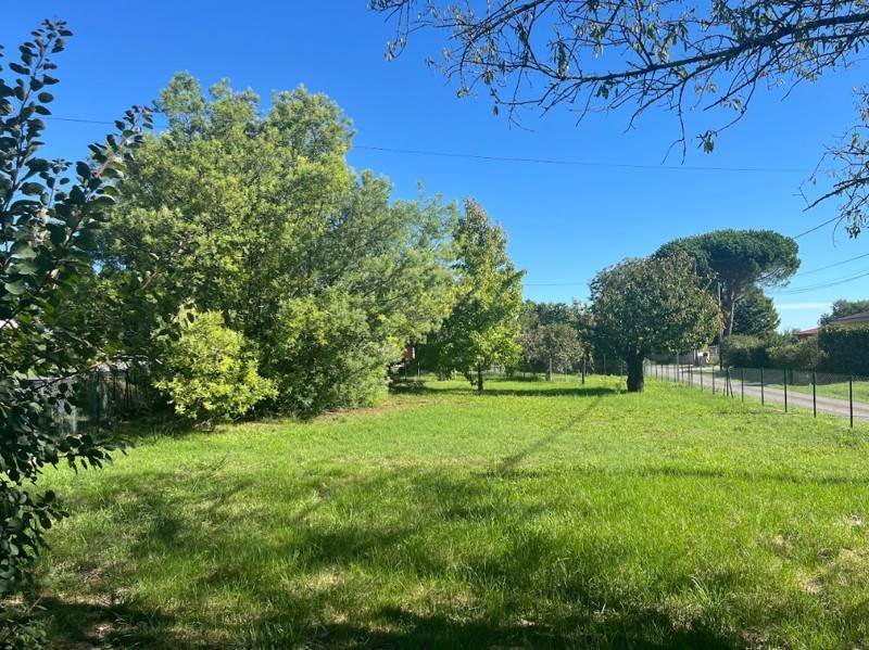 Vente Terrain BRENS - -622 m² - (81600)