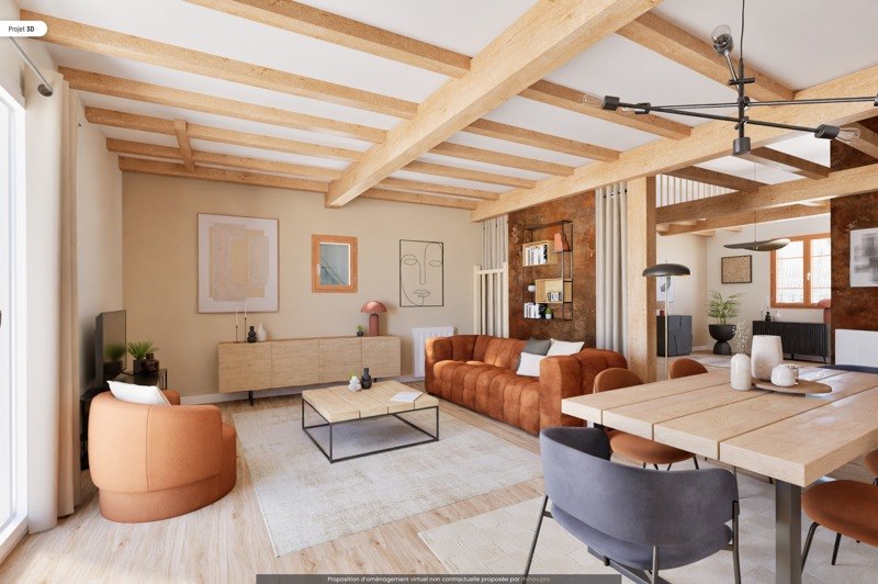 Vente Maison SALVAGNAC - 9 pièces -352 m² - (81630)