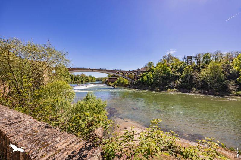 Vente Maison GAILLAC - 6 pièces -160 m² - (81600)