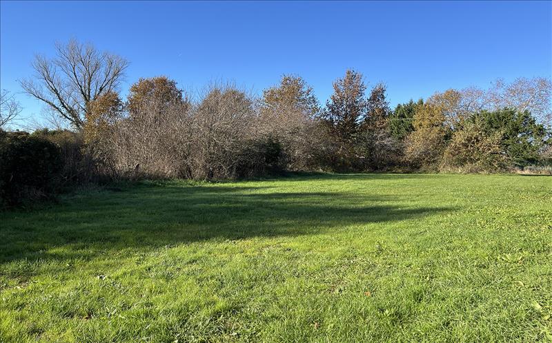 Vente Terrain CAMPSAS - -770 m² - (82370)