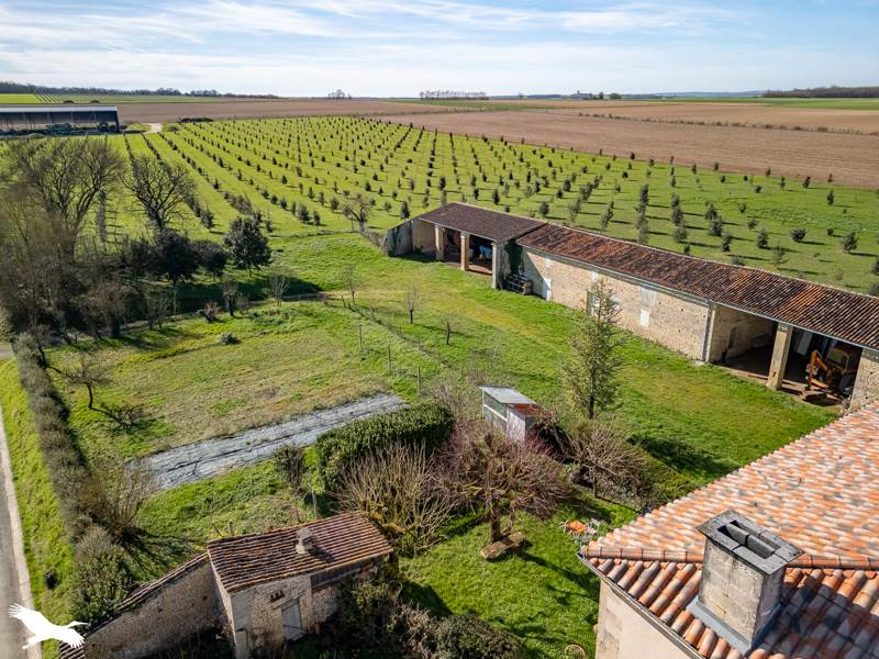 Vente Maison Paillé - 13 pièces -370 m² - (17470)