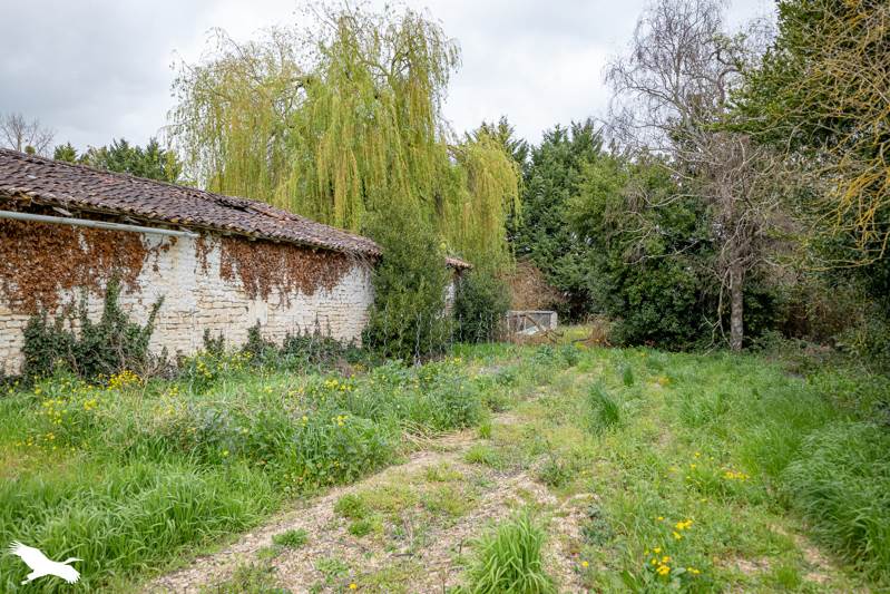 Vente Maison MONS - 10 pièces -431 m² - (17160)