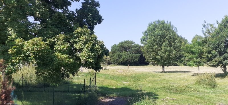Vente Maison HAIMPS - 4 pièces -85 m² - (17160)