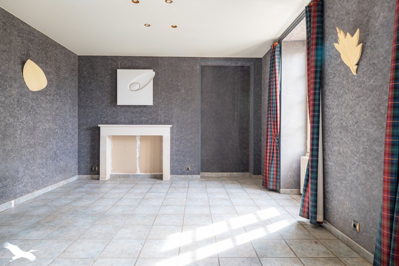 Vente Maison La Villedieu - 6 pièces -294 m² - (17470)