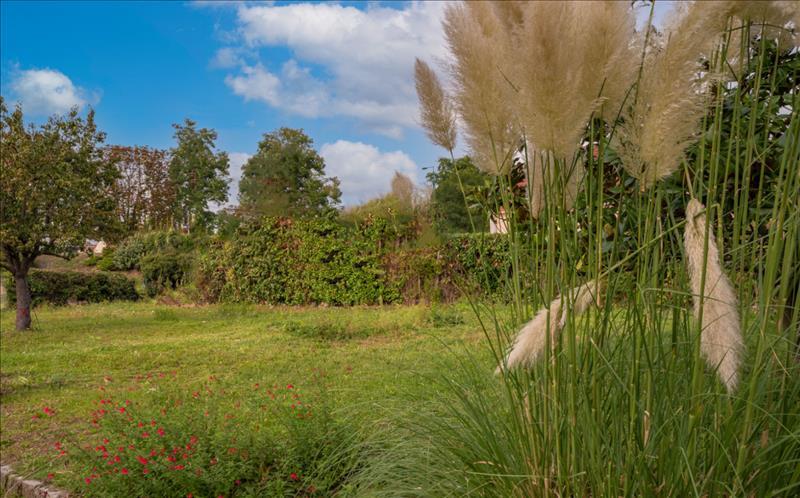 Vente Terrain ST OUEN L AUMONE - -492 m² - (95310)