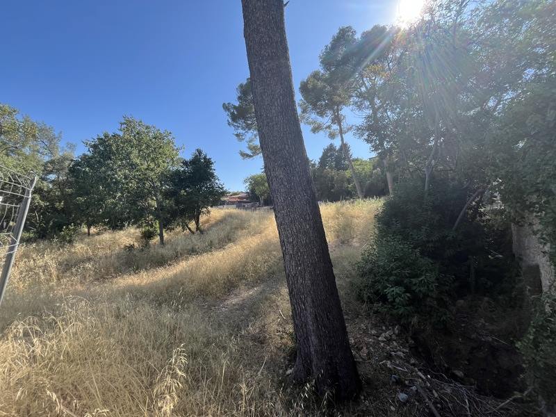 Vente Terrain COURNONSEC - -900 m² - (34660)