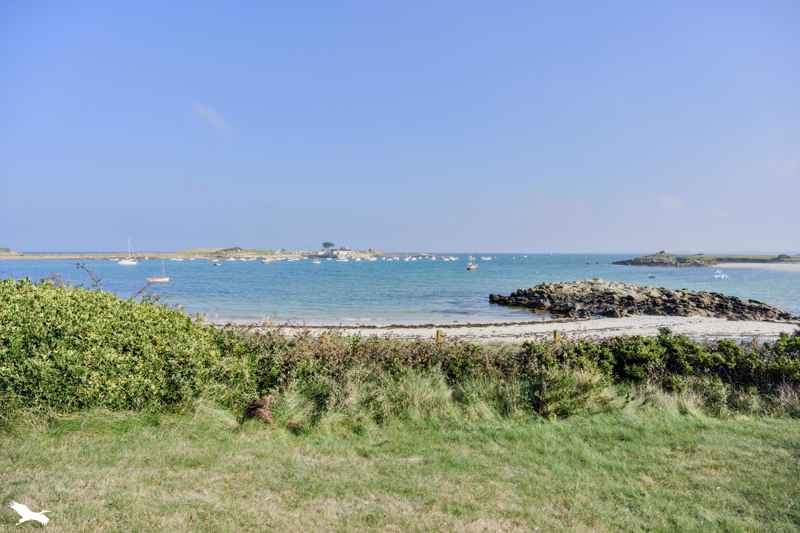 Vente Maison PLOUGUERNEAU - 7 pièces -222 m² - (29880)