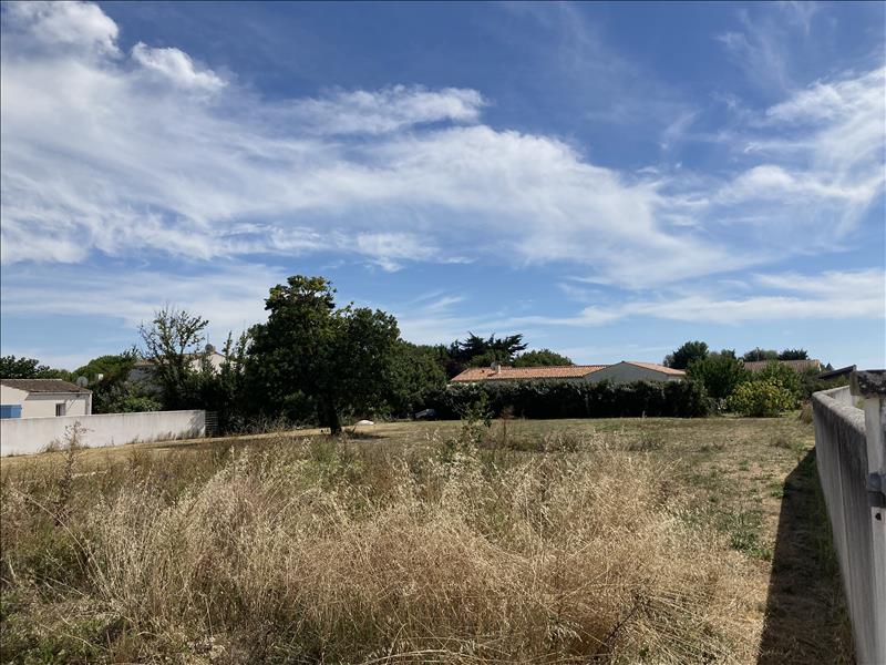 Vente Terrain ST DENIS D OLERON - -636 m² - (17650)