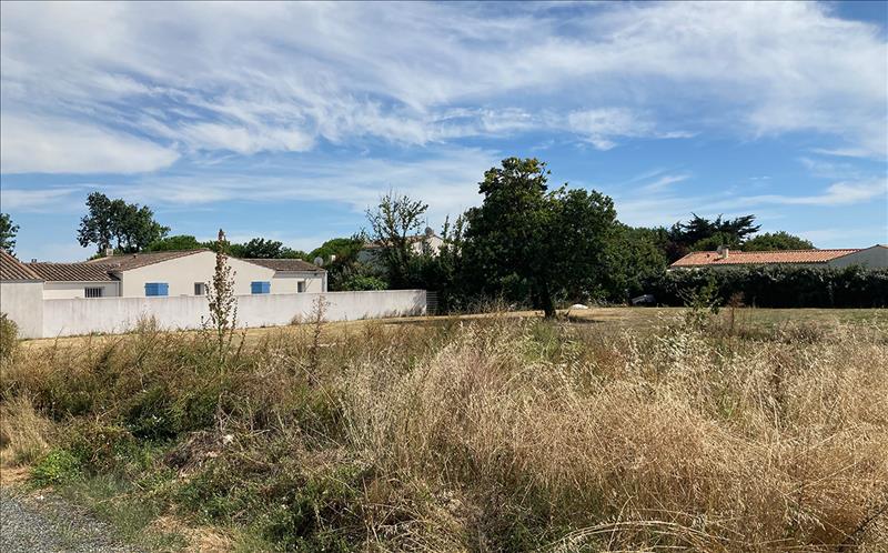 Vente Terrain ST DENIS D OLERON 17650  636 m²