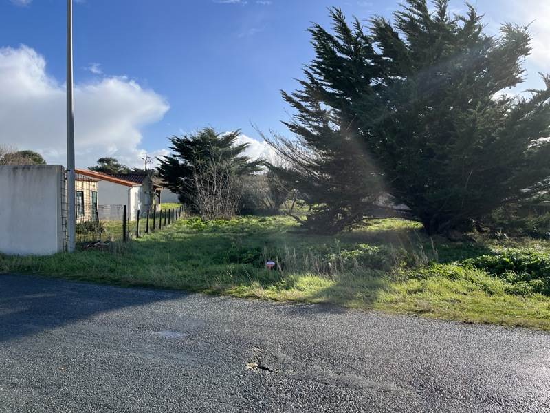 Vente Terrain ST DENIS D OLERON - -567 m² - (17650)
