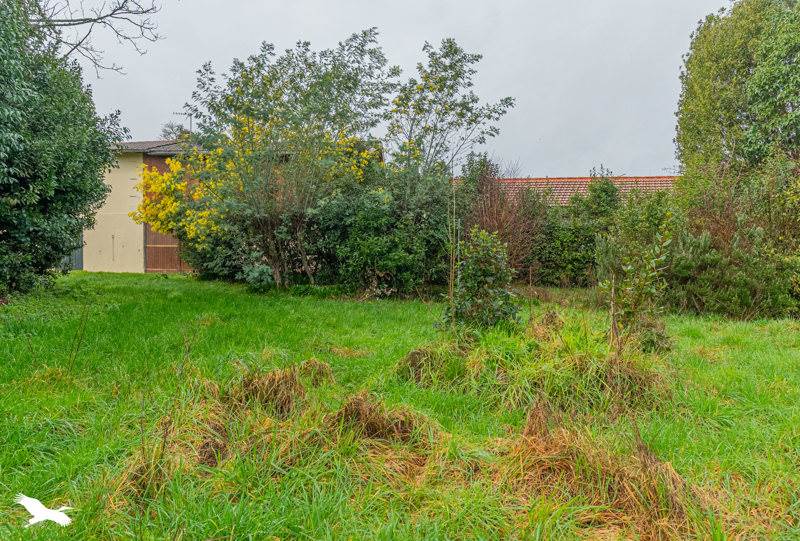 Vente Immeuble LORMONT - -  76 m² - (33310)