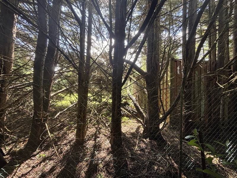 Vente Terrain LUNERY - -2041 m² - (18400)