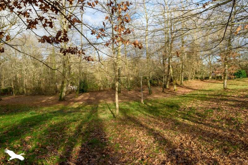 Vente Maison BRETAGNE DE MARSAN - 6 pièces -220 m² - (40280)