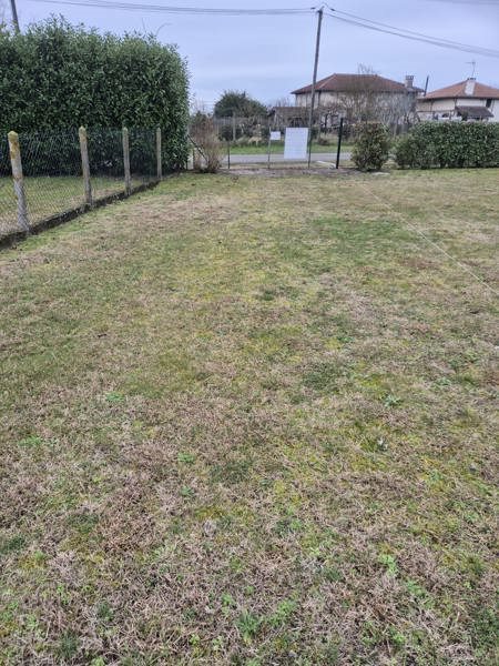 Vente Terrain ST PERDON - -892 m² - (40090)