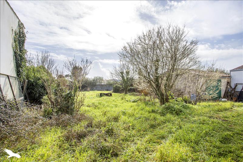 Vente Maison STE MARIE DE RE - 7 pièces -160 m² - (17740)