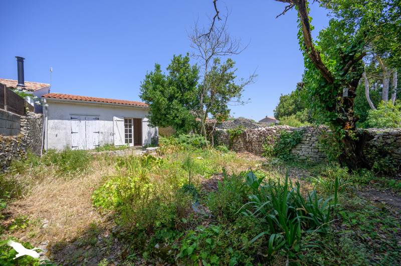 Vente Maison STE MARIE DE RE - 1 pièce -25 m² - (17740)