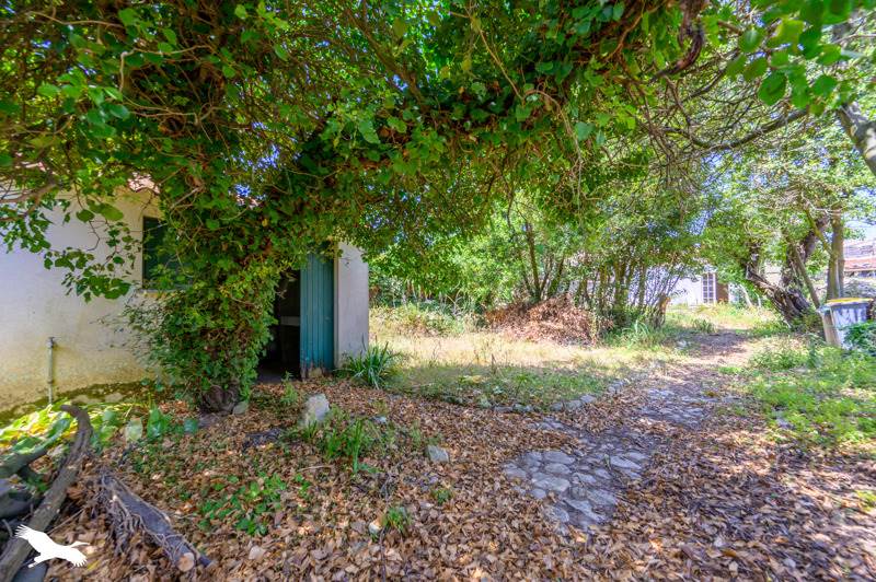 Vente Maison STE MARIE DE RE - 1 pièce -25 m² - (17740)