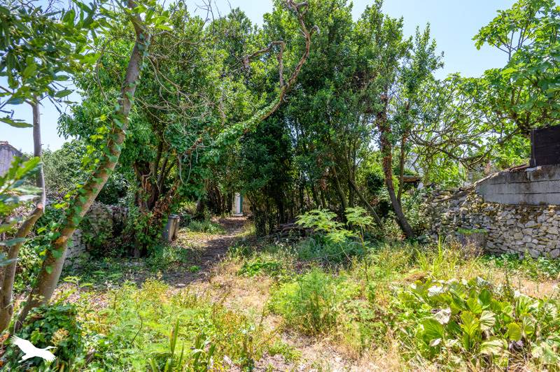 Vente Maison STE MARIE DE RE - 1 pièce -25 m² - (17740)