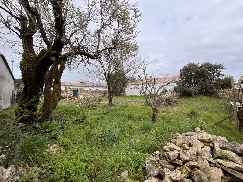 Vente Terrain RIVEDOUX PLAGE - -438 m² - (17940)