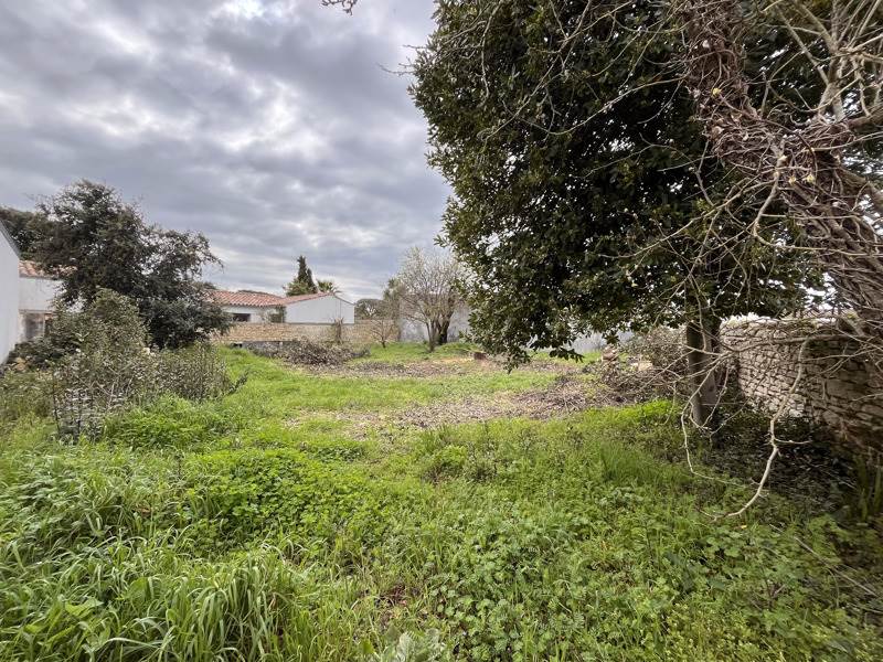 Vente Terrain RIVEDOUX PLAGE - -438 m² - (17940)
