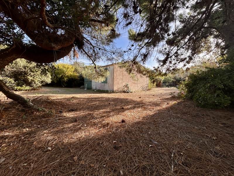Vente Maison Sainte-Marie-de-Ré - 4 pièces -65 m² - (17740)