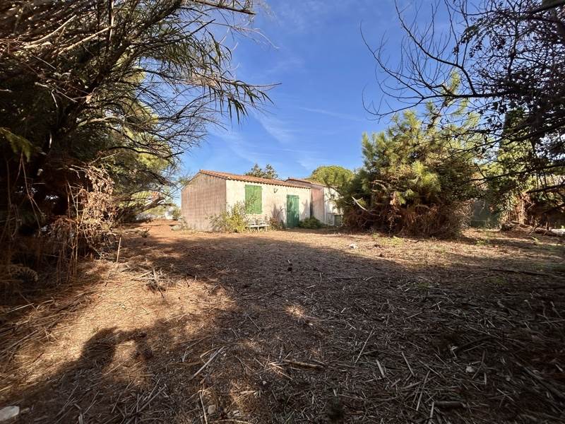 Vente Maison Sainte-Marie-de-Ré - 4 pièces -65 m² - (17740)